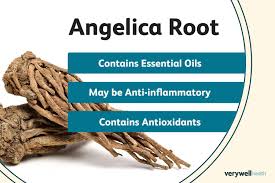 Attēlu rezultāti vaicājumam “Angelica archangelica fruit”