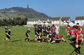 Image result for Ards Rugby Football Club