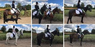 Image result for Abinger Forest Riding Club