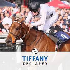 Image result for Elite Racing Club