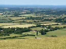 Image result for Bromham Nomads Cricket Club