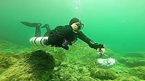 Image result for innerspace divers
