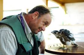 Image result for Wimbledon Hawks