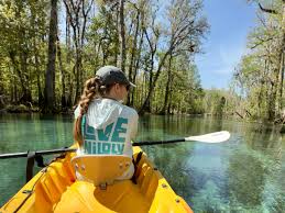 Image result for Itchen South District Scout Canoe Centre