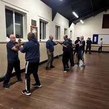 Image result for Midlands Wing Chun