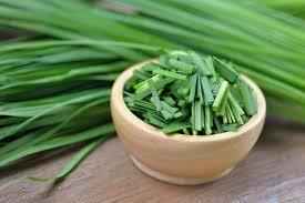 Image result for Schnittknoblauch