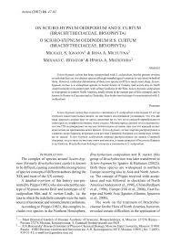 Attēlu rezultāti vaicājumam “Sciuro-hypnum curtum”
