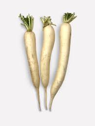 Image result for Rettich