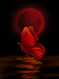 Image result for moon venus