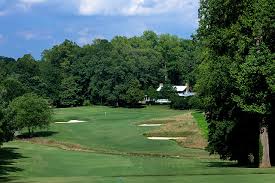 Image result for Gosfield CC