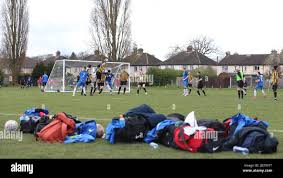 Image result for Old Wokingians Football Club