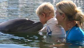 Image result for Dolphins Sheltered & Disabled Swim Club