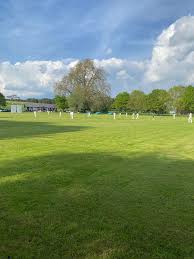 Image result for Peper Harow Cricket Club