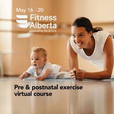 Image result for Postnatal Exercise Course