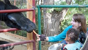 Image result for Carman Stables