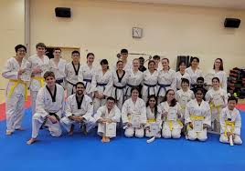 Image result for Surrey Taekwondo
