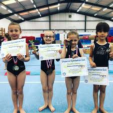 Image result for Pinewood Gymnastics Club