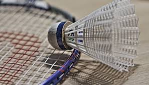 Image result for Frome Badminton Club