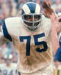 Hall of Famers » DAVID (DEACON) JONES