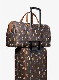 Image result for MK Dons SET Bedford TICs