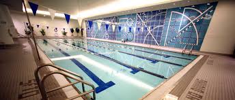 Image result for York University Pool Club