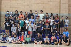 Image result for Gb Landscapes Badminton Club