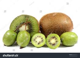 Attēlu rezultāti vaicājumam “Actinidia kolomikta fruit”