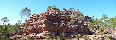 Image result for "Selva Pascuala"