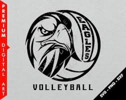Image result for White Eagles Volleyball Club