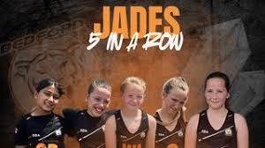 Image result for Henlow Netball Club