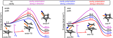 Image result for Alder Cc