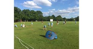 Image result for Eversley Cricket Club