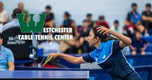 Image result for Teddington Table Tennis Club