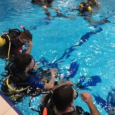 Image result for Maidstone Sub Aqua Club