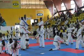 Image result for Utf Jaguar Tkd