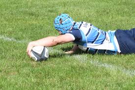 Image result for Newbury Rugby Football Club