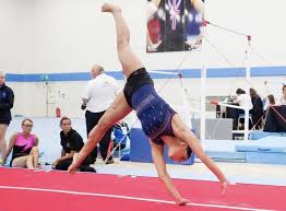 Image result for Arabian School Of Gymnastics, Milton Keynes