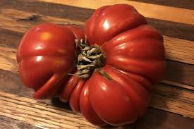 Afbeeldingsresultaat voor costoluto genovese tomato