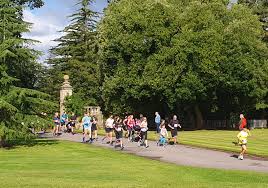 Image result for Buscot Park Cricket Club