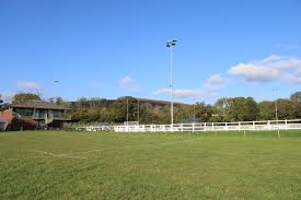 Image result for Ivybridge Cricket Club