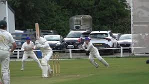Image result for Lowerhouse Cricket Club