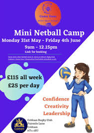 Image result for Cobham Netball Club