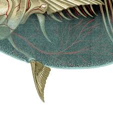 Image result for Thunnus albacares