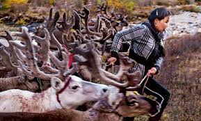 Image result for The Nomads R.H.C.