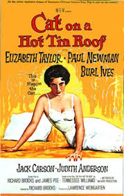 Cat on a Hot Tin Roof