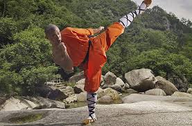 Image result for kung fu