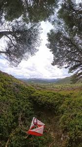 Image result for Wessex Orienteering Club