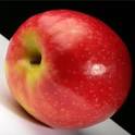 ProView: APPLE is Engaged in Fraud, Unfair Competition | Hardware ...