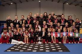 Image result for Lincoln Gymnastics Club