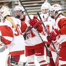 Image result for New Milton Hockey Club